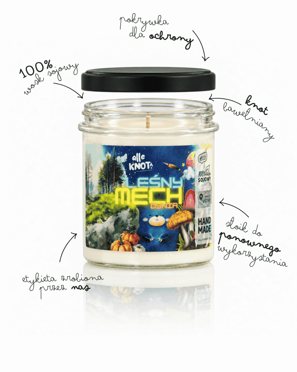 Leśny Mech